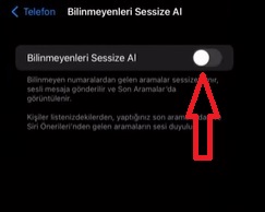 iPhone sessize alınan arama açma